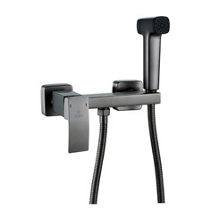 Гигиенический душ Rose R1505T-1 со смесителем оружейная сталь матовая