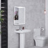 Зеркало Silver Mirrors Мали 550х800 мм (сенсорный выключатель) LED-00002534