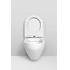 Подвесной унитаз Am.Pm Inspire C501700WH FlashClean