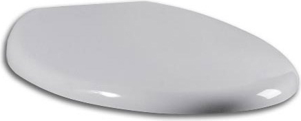 Сиденье Am.Pm Bliss C557851WH с микролифтом